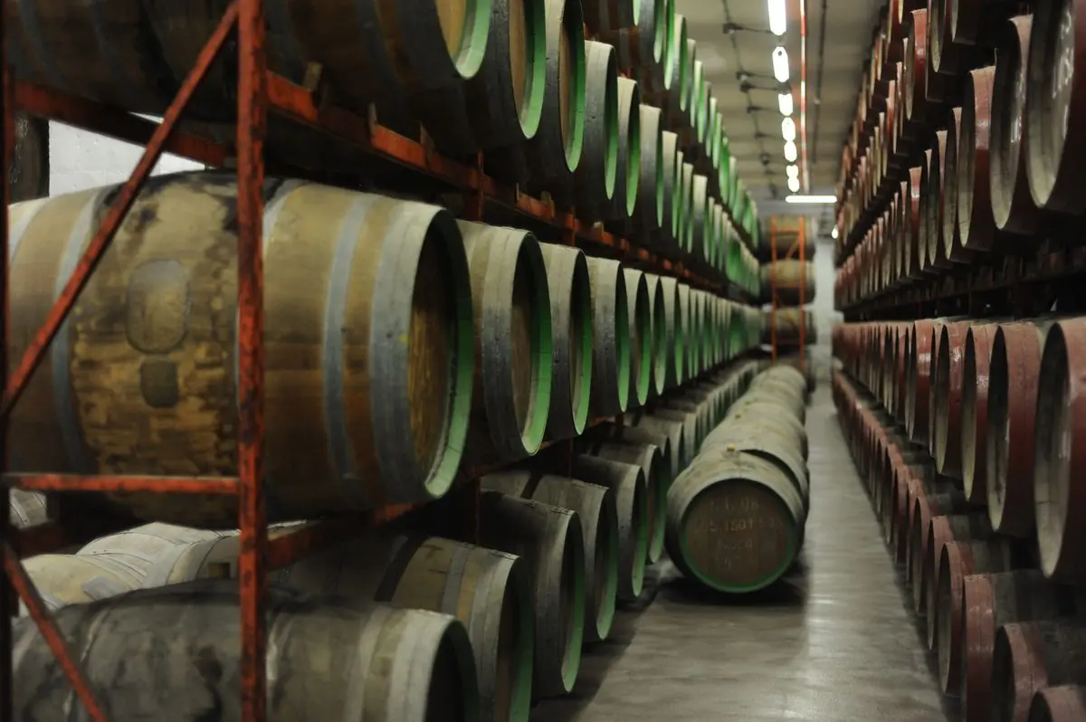 Cave de Vinho do Porto convertida em hotel, ilustrativo